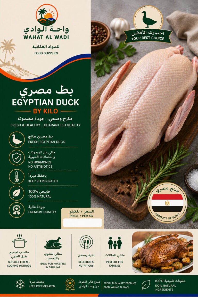 Egyptian Baladi Duck